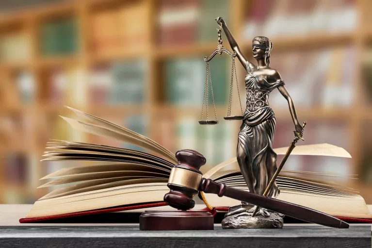 Image of a law book, gavel, and lady justice statue.